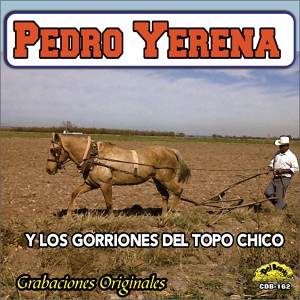 Обложка для Pedro Yerena - Perdon