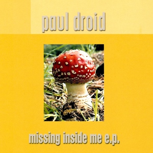 Обложка для Paul Droid - Missing Inside Me