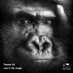Обложка для Thomas Sol - Lost In The Jungle