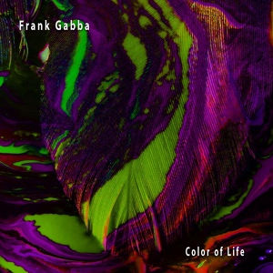 Обложка для Frank Gabba - A Stolen Gift