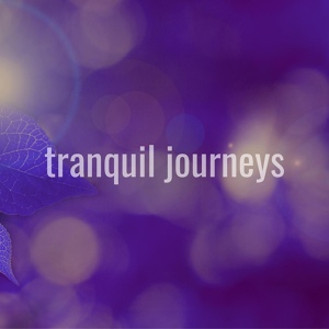 Обложка для Tranquil Journeys - In the Air