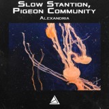 Обложка для Slow Stantion, Pigeon Community - Alexandria