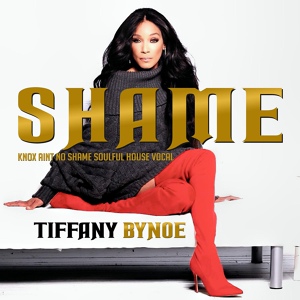 Обложка для Tiffany Bynoe - Shame (Knox Ain't No Shame Soulful House Vocal)