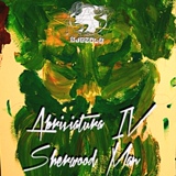 Обложка для Abriviatura IV - Sherwood Man (Skoork Remix)