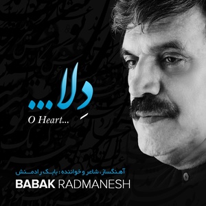 Обложка для Babak Radmanesh - In Eternity