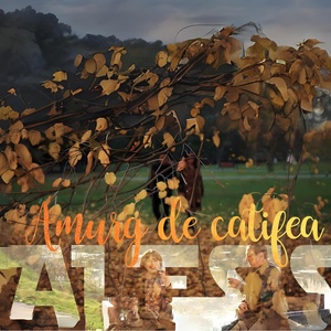 Обложка для Alesis - Amurg De Catifea
