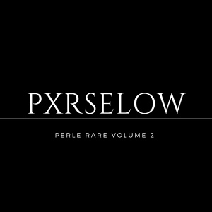 Обложка для Pxrselow - Passé composé