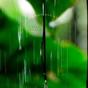 Обложка для Nature Noise – Monsoon Rains - Warm Rain