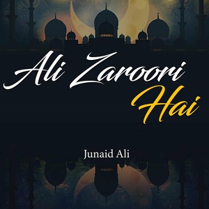 Обложка для Junaid Ali - Ali Zaroori Hai