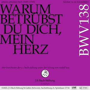 Обложка для Orchester der J.S. Bach-Stiftung, Rudolf Lutz, Alex Potter - VI. Rezitativ (Alt) - Ei nun! so will ich auch recht sanfte ruhn