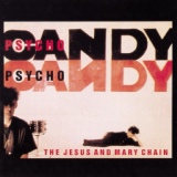 Обложка для The Jesus And Mary Chain - Never Understand