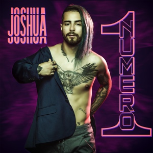 Обложка для Joshua Dietrich - Tengo a Otra y No Me Gusta