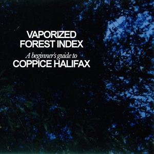 Обложка для Coppice Halifax - Sun Version