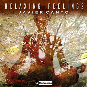 Обложка для Javier Canto - Relaxing Feelings