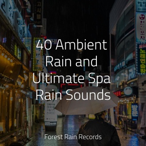 Обложка для Meditação Yoga, Sounds Of Nature : Thunderstorm, Rain, Lluvia - White Noise Roof Shed Rain