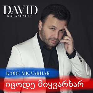 Обложка для DAVID (David Kalandadze) - Shentan Ertad