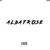 Обложка для Natan - Albatrose