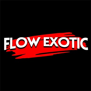 Обложка для RAPBATTLE-ENS - Flow Exotic