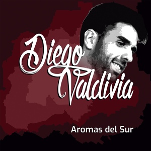 Обложка для Diego Valdivia - Por una Sonrisa