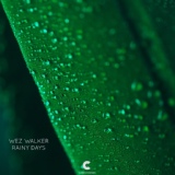Обложка для Wez Walker - Calm