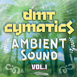 Обложка для Dmt Cymatics - Watermelon