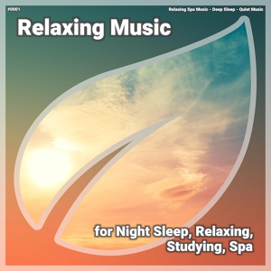 Обложка для Relaxing Spa Music, Deep Sleep, Quiet Music - Relaxing Music, Pt. 62