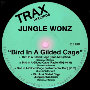 Обложка для Jungle Wonz - Bird In A Gilded Cage (Original 12' Club Mix)