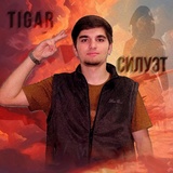 Обложка для TIGAR - Силуэт