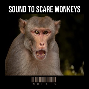 Обложка для nBeats - Sound to Scare Monkeys