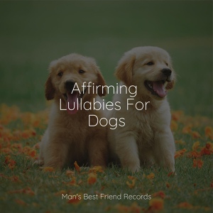 Обложка для Dog Music, Dog Music Club, Music for Dog's Ears - Relaxing Music and Gentle Ambience