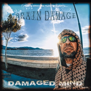 Обложка для Brajn Damage - Türke
