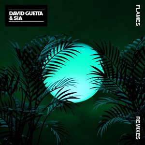 Обложка для David Guetta, Sia - Flames