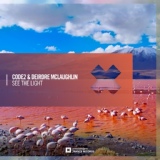 Обложка для Code2 & Deirdre McLaughlin - See The Light (Extended Mix)
