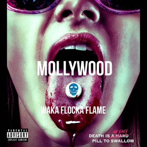 Обложка для Waka Flocka Flame feat. French Montana - Plane Tickets (feat. French Montana)