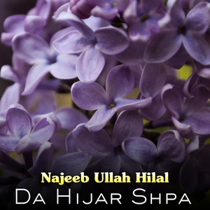 Обложка для Najeeb Ullah Hilal - Janana Yad De