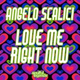 Обложка для Angelo Scalici - Love Me Right Now