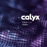 Обложка для Calyx - Riddim