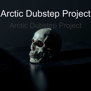 Обложка для Arctic Dubstep Project - Twist