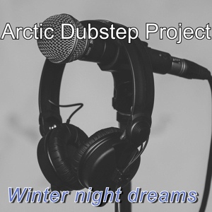 Обложка для Arctic Dubstep Project - Winter night dreams