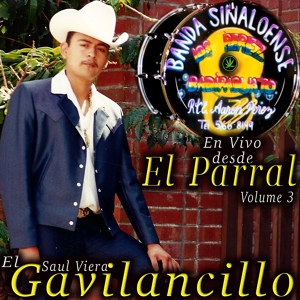 Обложка для El Gavilancillo Saul Viera - El Sapo