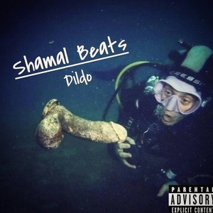 Обложка для Shamal Beats - Dildo