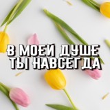 Обложка для Сергей Грищук - В моей душе ты навсегда