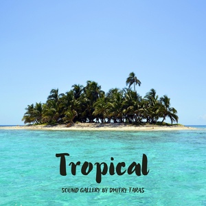 Обложка для Sound Gallery by Dmitry Taras - Tropical