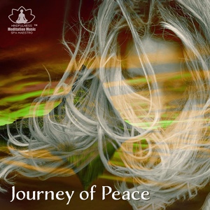 Обложка для Mindfulness Meditation Music Spa Maestro - The Name of Paradise