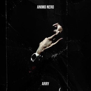 Обложка для ARRY - ANIMO NERO