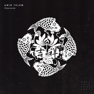 Обложка для Amir Telem - Within You (Kamilo Sanclemente Remix)