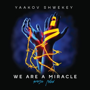 Обложка для Yaakov Shwekey - Ma'amin Benisim