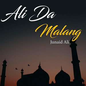 Обложка для Junaid Ali - Ali Da Malang