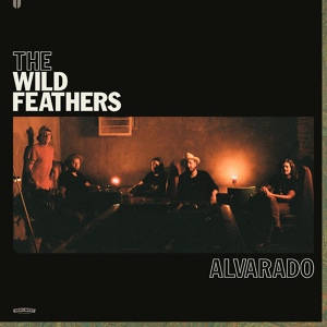 Обложка для The Wild Feathers - Over the Edge