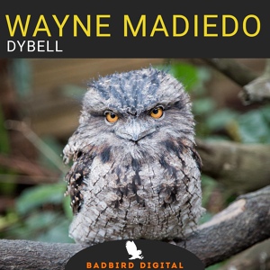 Обложка для Wayne Madiedo - Not Angry